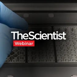 Streamlining Gene Expression Analysis From Cells to RT-qPCR