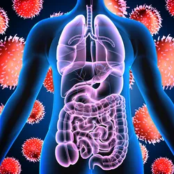 Anatomy of human body with digestive system on virus background, signifying the virome.