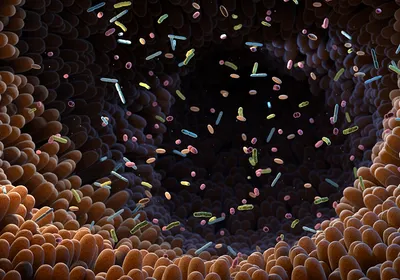 An illustration signifying the human microbiome.