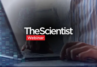 Beyond the Basics: Strategies for Single-Cell and Spatial Transcriptomics Analysis
