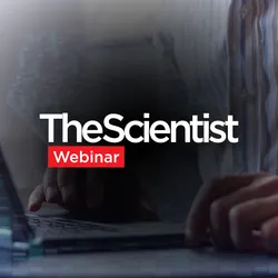 Beyond the Basics: Strategies for Single-Cell and Spatial Transcriptomics Analysis