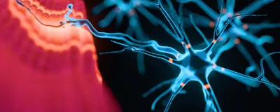 Rethinking ALS Biomarkers: From Discovery to Clinical Impact