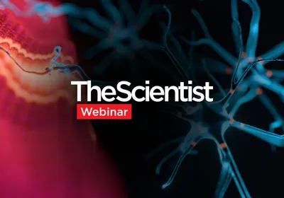 Rethinking ALS Biomarkers: From Discovery to Clinical Impact