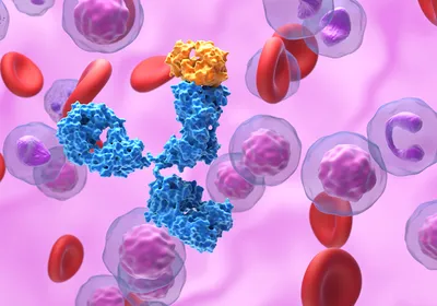 A monoclonal antibody surrounded by immune cells and red blood cells