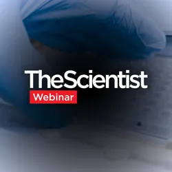 Best Practices for qPCR Assay Design and Optimization