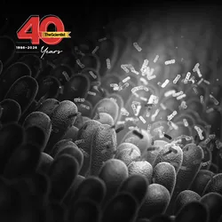Human gut bacteria shine under a spotlight within the intestines in The Scientist’s 40th Anniversary template.