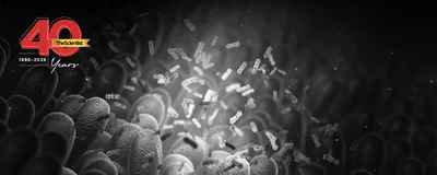 Human gut bacteria shine under a spotlight within the intestines in The Scientist’s 40th Anniversary template.