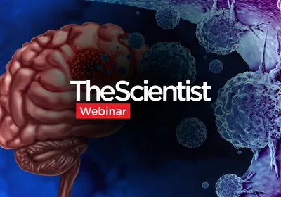 Engineering CAR-Neutrophils In Vivo to Target Glioblastoma