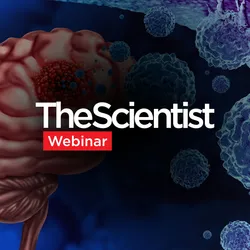 Engineering CAR-Neutrophils In Vivo to Target Glioblastoma