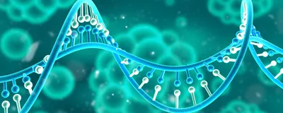 Illustration of a DNA double helix with molecular markers representing base modifications