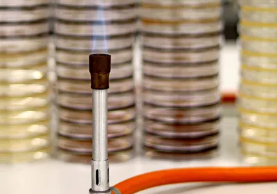 A lit Bunsen burner sits in front of stacks of Petri dishes.