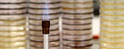 A lit Bunsen burner sits in front of stacks of Petri dishes.