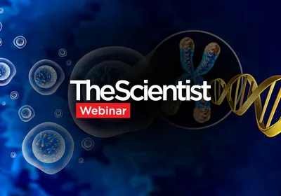Essential Genes Are Dominantly Activated by Single Transcription Factors