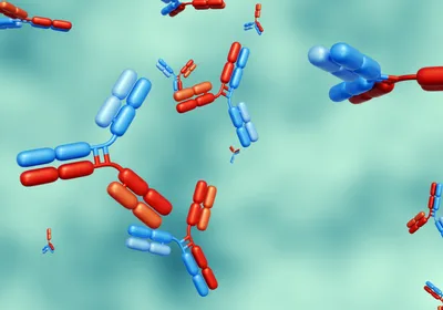 3D illustrated antibodies that have one chain in red and one chain in blue floating against a teal background. 