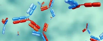 3D illustrated antibodies that have one chain in red and one chain in blue floating against a teal background.
