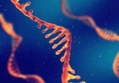 An RNA molecule is shown in orange against a blue background with two other RNA molecules in the background. 