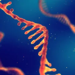 An RNA molecule is shown in orange against a blue background with two other RNA molecules in the background. 