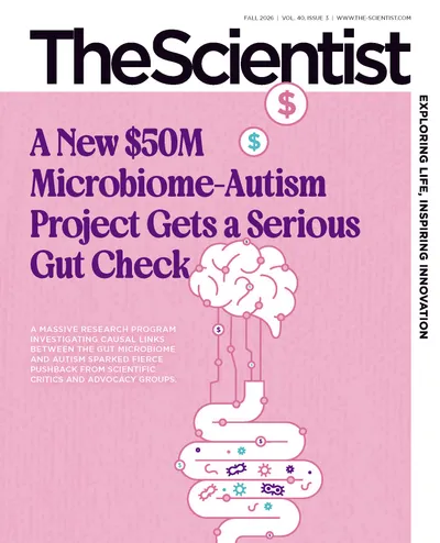 A New $50M Microbiome-Autism Project Gets a Serious Gut Check