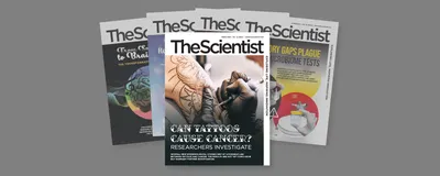 The Scientist print magazine are laid out against a gray background. 