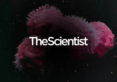 Using Spatial Biology to Guide Safer CAR T Cell Design