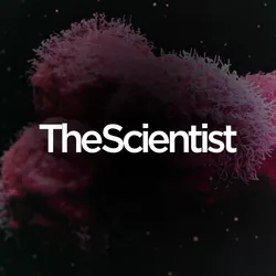 Using Spatial Biology to Guide Safer CAR T Cell Design