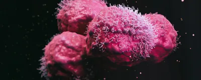 Using Spatial Biology to Guide Safer CAR T Cell Design