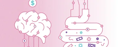 A drawing of a brain and dollar signs are connected to the digestive tract with microbes in it, representing the gut microbiome.