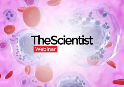 Considerations for Selecting Molecular Methods for Biomarker Assessment in Hematologic Malignancies