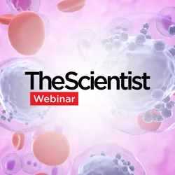 Considerations for Selecting Molecular Methods for Biomarker Assessment in Hematologic Malignancies