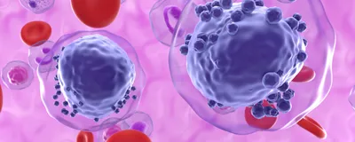 Considerations for Selecting Molecular Methods for Biomarker Assessment in Hematologic Malignancies