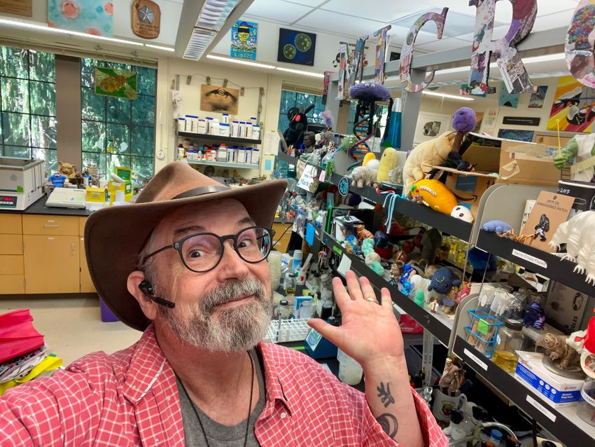 Image of Mark Martin posing in front of his laboratory space which is filled with various microbial plushies. Image of Mark Martin posing in front of his laboratory space which is filled with various microbial plushies.