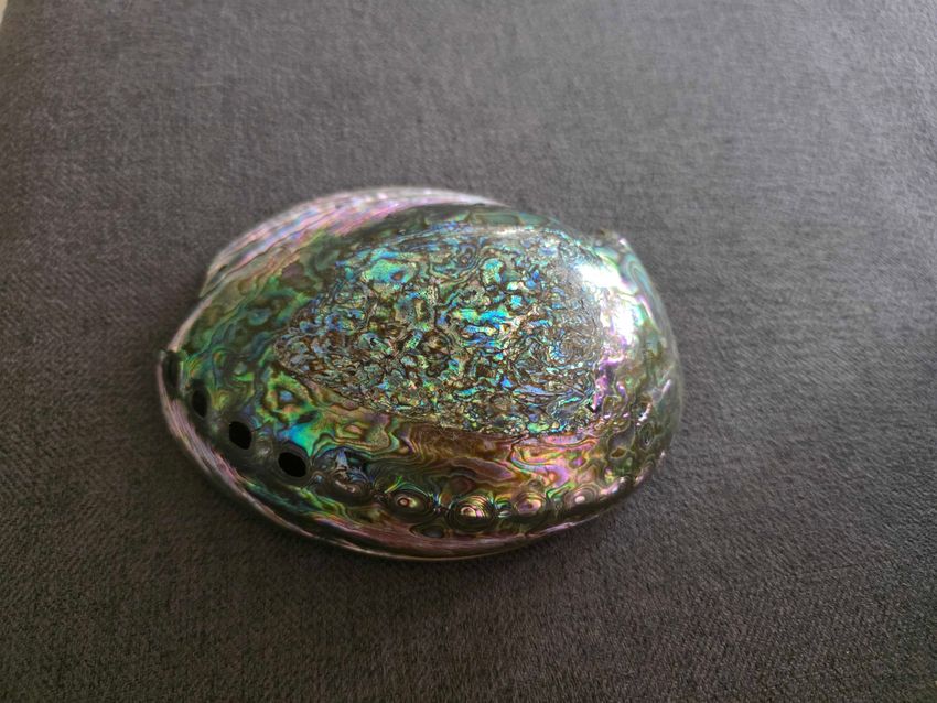 Image of iridescent nacre. Image of iridescent nacre.