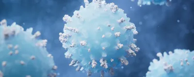 Illustration of immune cell with antibodies