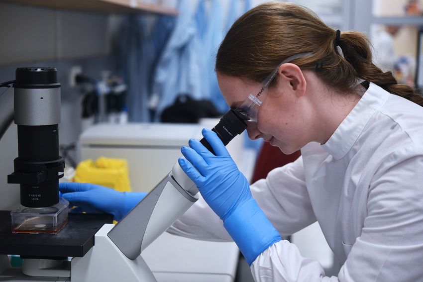 Bettina Dietmair is wearing a white lab coat, safety glasses, and blue nitrile gloves as she looks at a specimen under the microscope. 