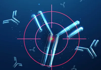 Antibodies with a target over them 