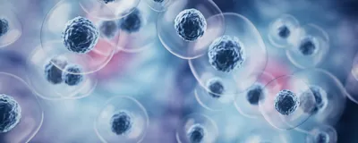 Illustration of layered 3D cells