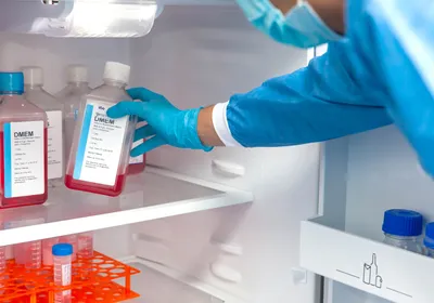 Gloved researcher holding a bottle of cell culture medium inside a laboratory refrigerator