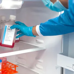 Gloved researcher holding a bottle of cell culture medium inside a laboratory refrigerator