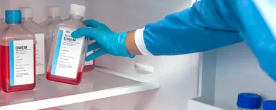 Gloved researcher holding a bottle of cell culture medium inside a laboratory refrigerator