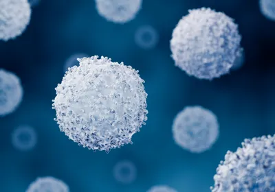 Illustration of cells with textured surface projections against a blue background covers it.