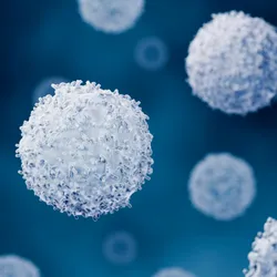 Illustration of cells with textured surface projections against a blue background covers it.