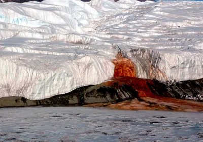 A blood red waterfall, Blood Falls, is shown as it exits Taylor Glacier and flows into Lake Bonney in Antarctica.