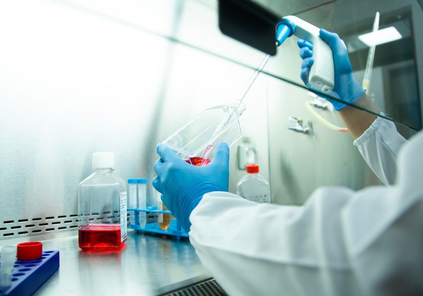 A scientist measuring cell culture media A scientist measuring cell culture media
