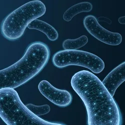 Rod-shaped bacterial sit on a blue background and have points of light on them, representing generating energy for the cell.