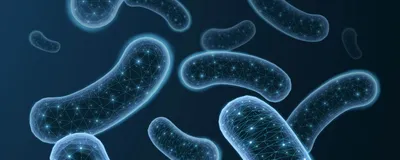 Rod-shaped bacterial sit on a blue background and have points of light on them, representing generating energy for the cell.
