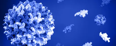 Conceptual 3D model of adeno-associated virus in shades of purple.