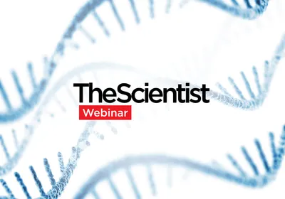 Scaling mRNA Synthesis With Fed-Batch IVT