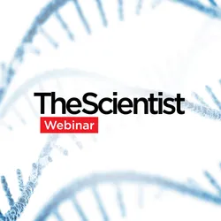 Scaling mRNA Synthesis With Fed-Batch IVT