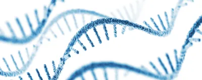 Scaling mRNA Synthesis With Fed-Batch IVT
