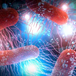 E. coli bacterial cells are shown in red over a blue-white background.